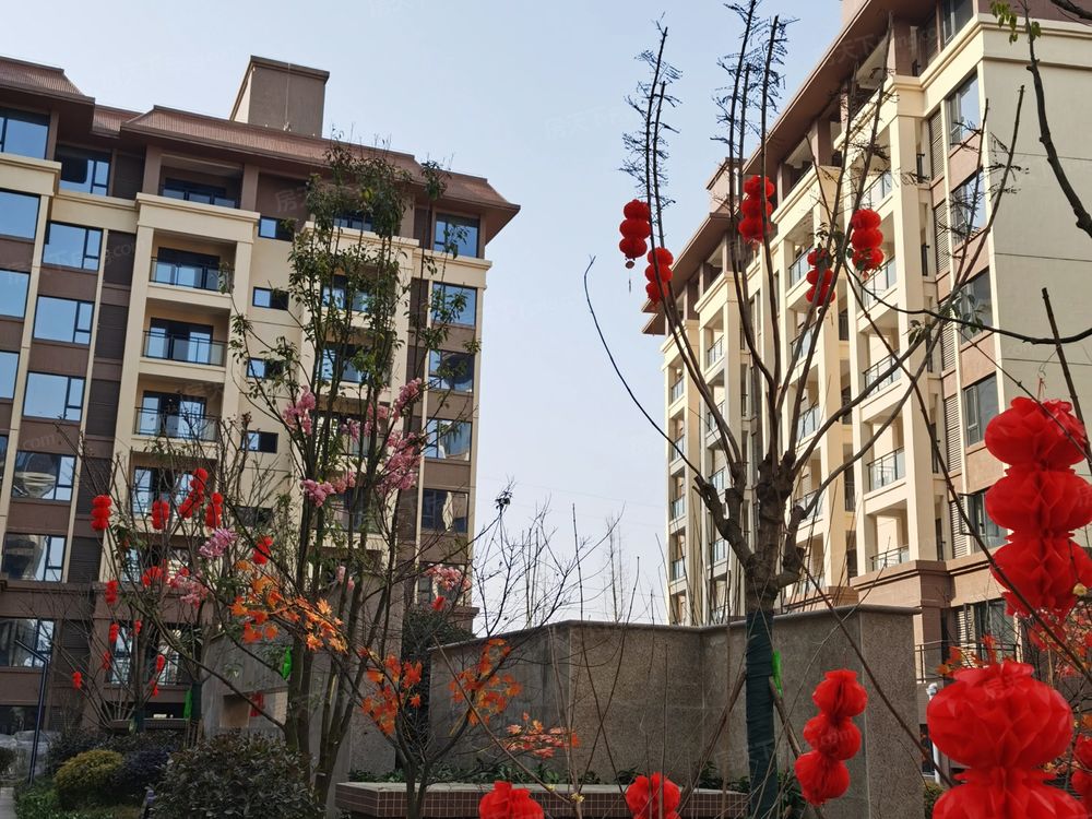 小区相关图