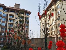 崇宁华府3室2厅东南