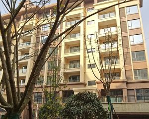 崇宁华府3室1厅东南