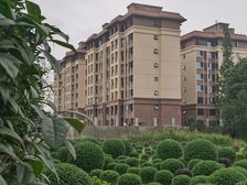 崇宁华府3室2厅南北