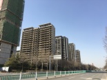 在建工地实景图