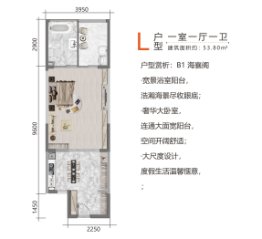 北部湾一号1室1厅1厨1卫建面53.80㎡