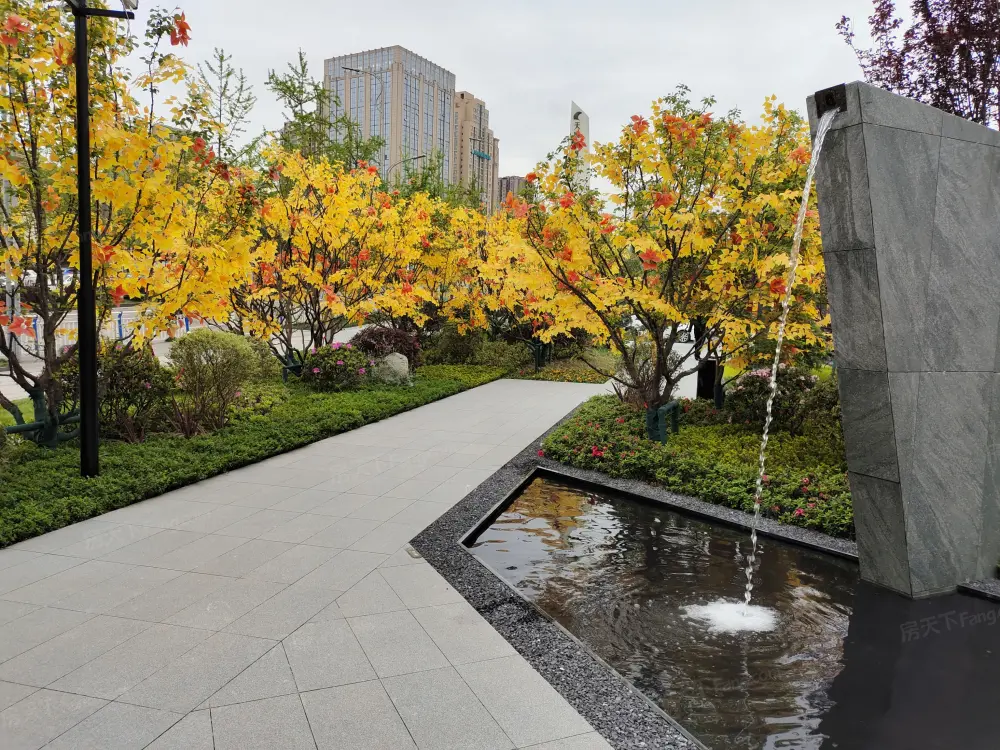 实景图