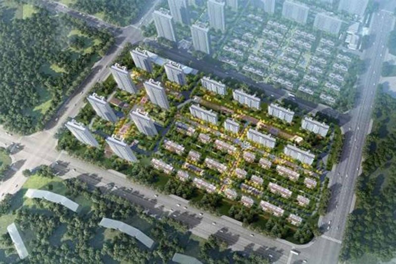 ���Ϻ���ɭ����ô�� ���Ϻ���ɭ�ַ�������