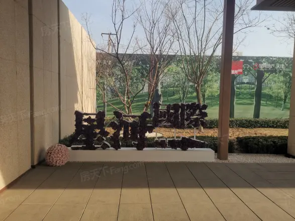 星河国际实景图