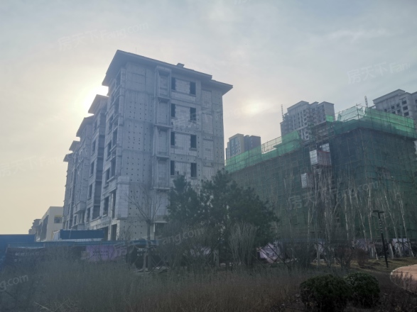 星河国际实景图