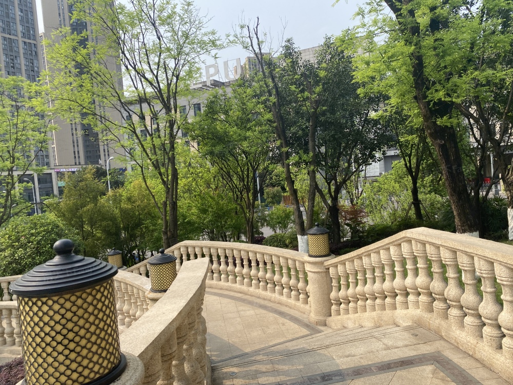 实景图