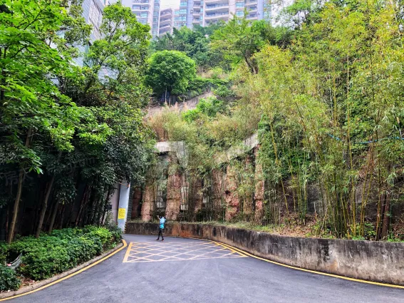 天池山.中脊怎么样:交房就能住新家,期待未来.-南宁房天下楼盘点评