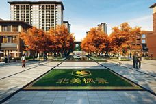 北美枫景[新田县]