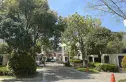 上实滨湖城海上湾鹭居实景图