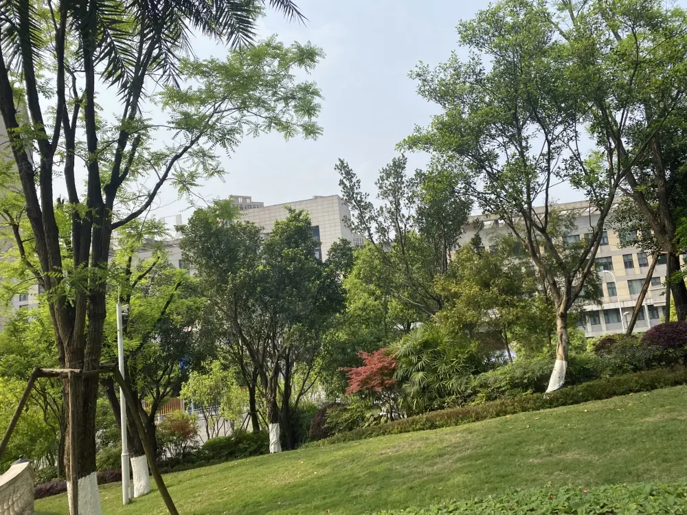 实景图