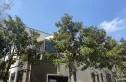 上实滨湖城海上湾鹭居实景图