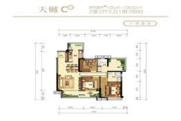 昭通金科·集美天樾3室2厅1厨2卫建面125.41㎡