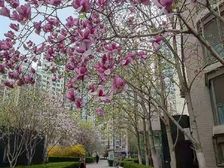 远洋天地一期板楼3居前后不临街满五唯一