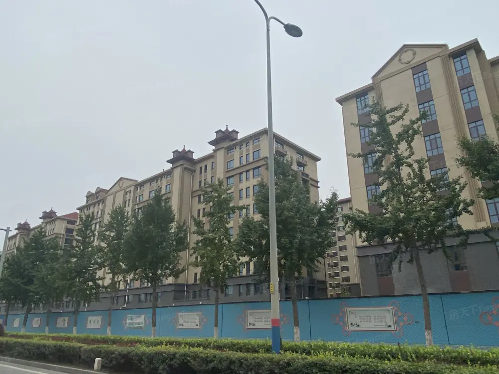实景图