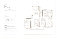 E1户型176㎡