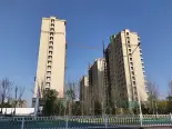 在建工地实景图