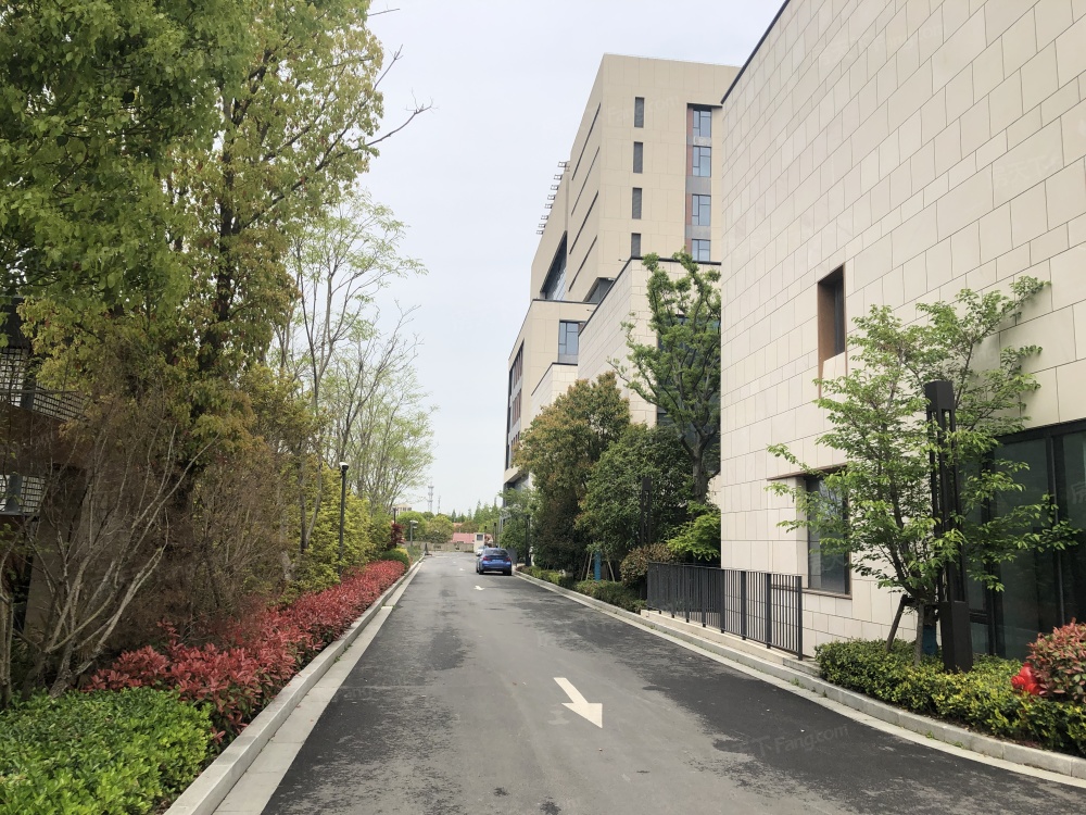外景图