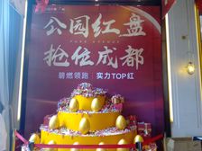 万科碧桂园公园大道3室2厅东南