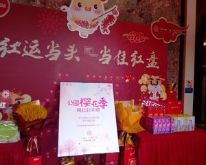 万科碧桂园公园大道3室2厅东南