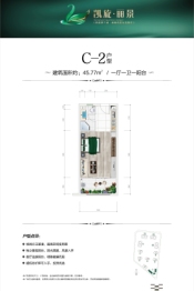 凯旋丽景1室1厅1厨1卫建面45.77㎡