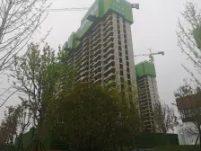 金桥西棠 3室2厅 南 北