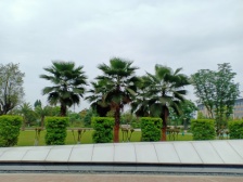 两江新区 中国摩金棕公馆三房123.6万