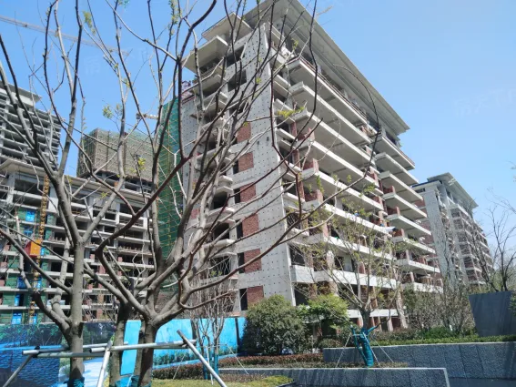 宝德集美东方怎么样:主推户型是129.00㎡.-临沂房天下楼盘点评