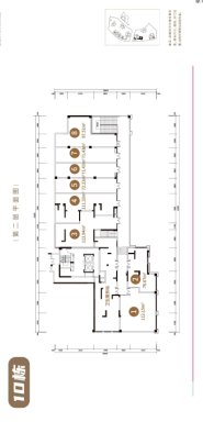 楼栋平面图