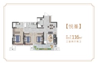 116户型