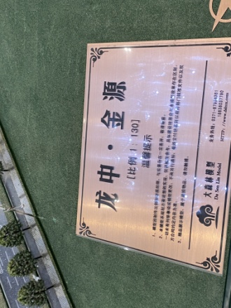 龙中金源