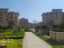 龙族海天福景 1室1厅 西南 东北