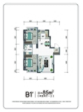 阅湖九章B1户型图