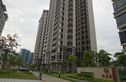 科城山庄·峻森园实景图