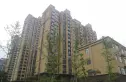 丛台 金和湾实景图