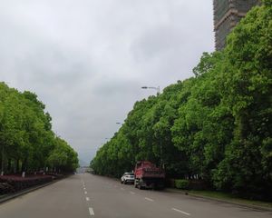 铂澜府三房两厅两卫看房方便价格可谈中间楼层