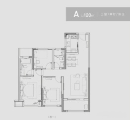 远洋红星盛泽天铂3室2厅1厨2卫建面120.00㎡