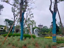 公园包围。小区环境优美房东诚心出售 价格还可谈