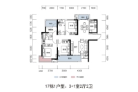 17号栋-1户型