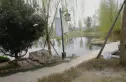 成都春风桃源实景图
