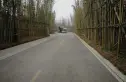 成都春风桃源实景图