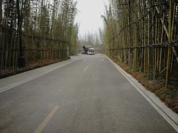 成都春风桃源实景图