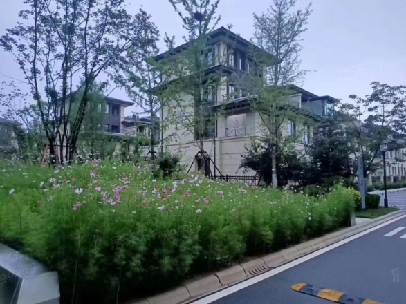 牛驼温泉孔雀城住宅