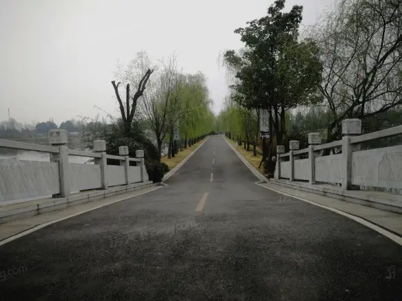 成都春风桃源实景图