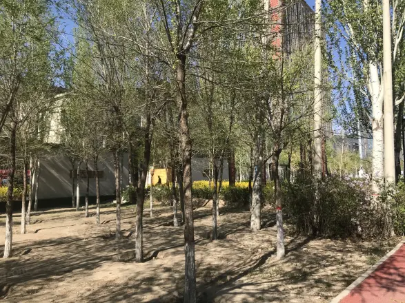 天福·九熙府