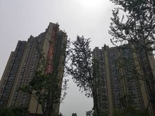 柳叶湖边保利央企独栋别墅品质见证