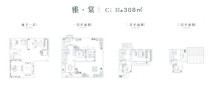 山棠春晓别墅C户型308㎡