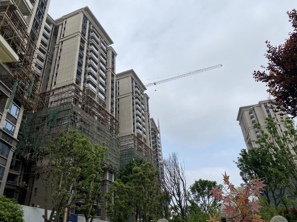 小区相关图
