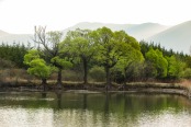 丽江地中海国际度假区湖区