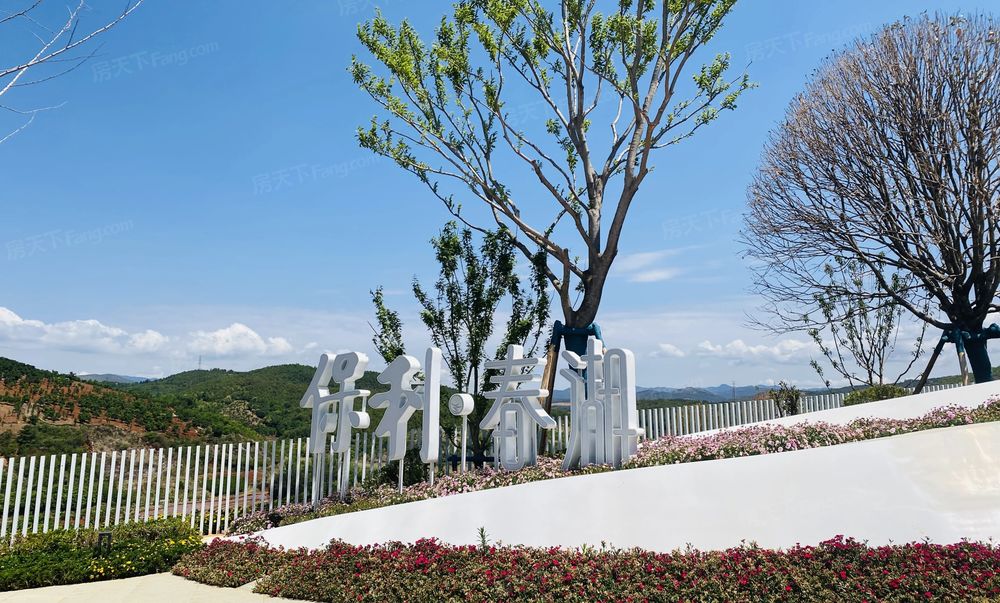 保利春湖国际生态城84平2居毛坯现房